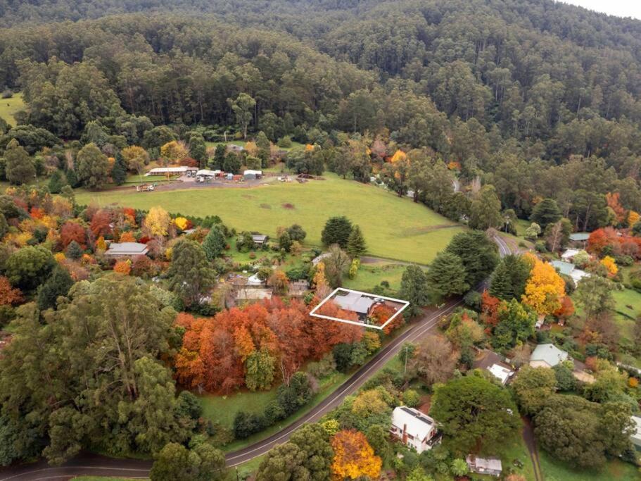 Super-Sized Luxury - Spa, Sauna, Steps To Trails Villa Warburton Exterior photo